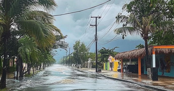 Activan Alerta Amarilla en Quintana Roo por Milton — El Sol de Sinaloa
